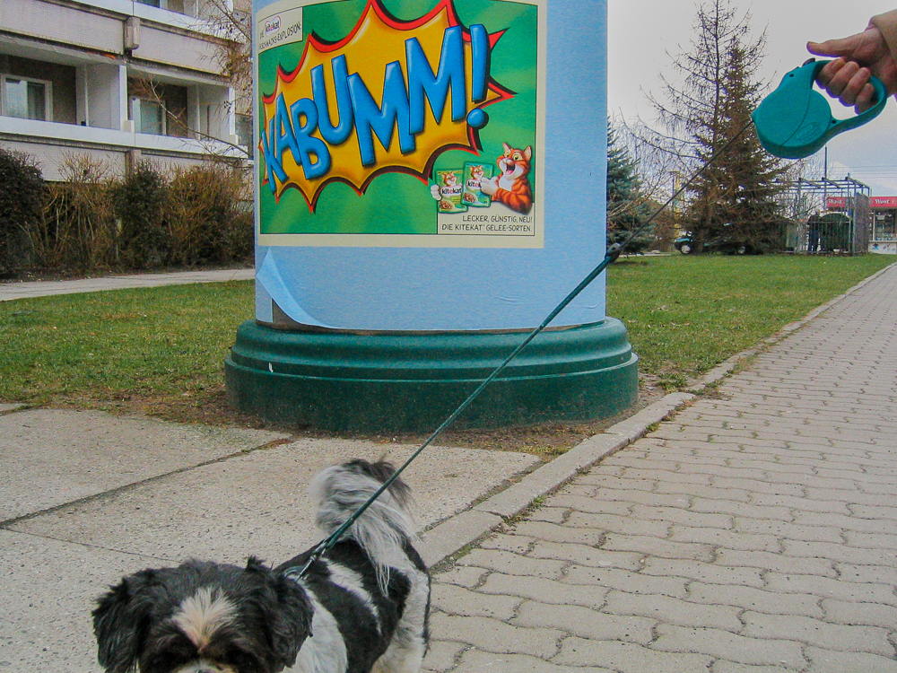 2006