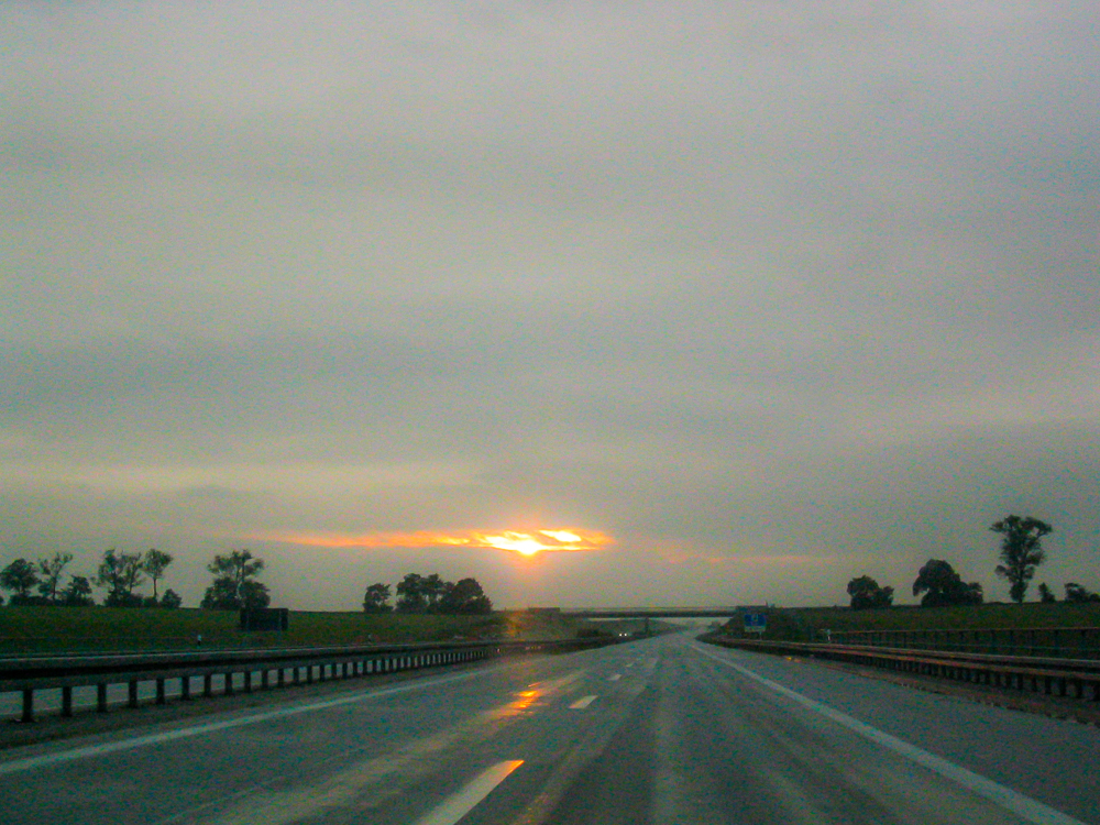 2006