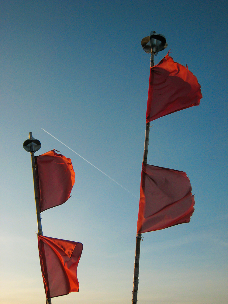 2009