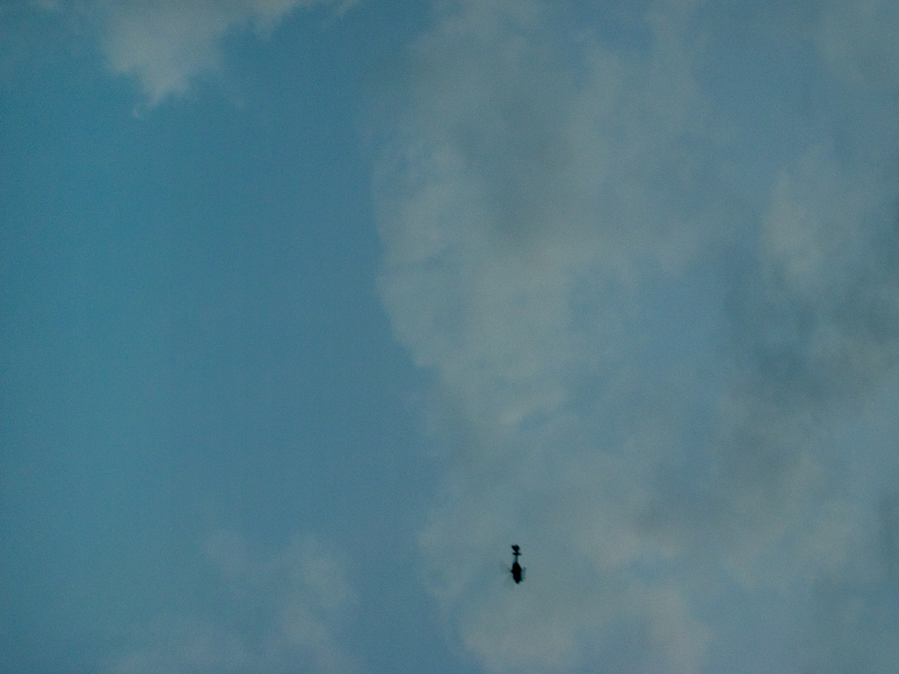 2010