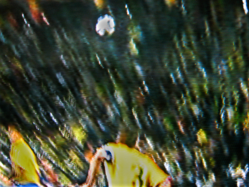2010