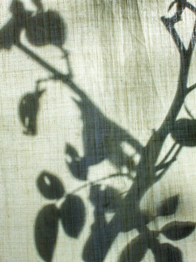 2012