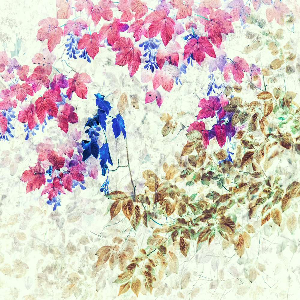 Nk53_DC_07589