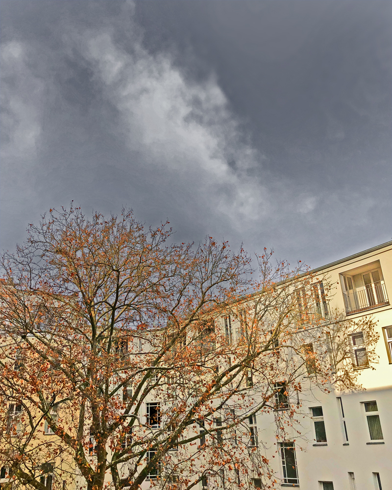iPh8_DC_06812-13