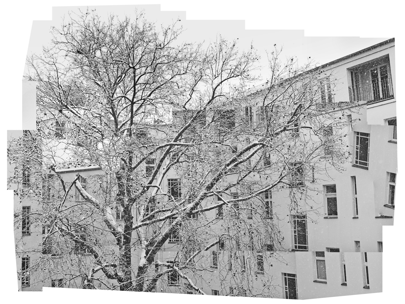 Sy6_DC_00792-806+807