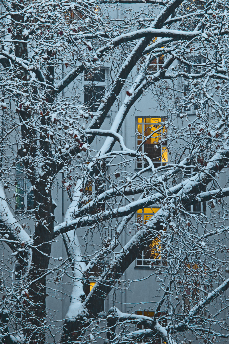 Sy6_DC_00811