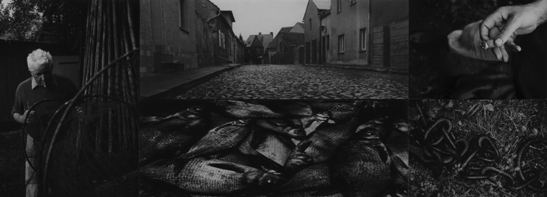 Havelfischer_Ketzin