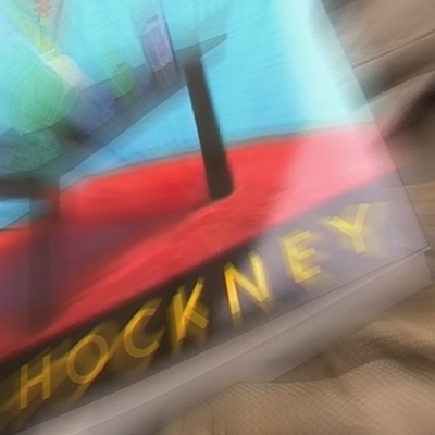 Bonn 200107 01+02 Hockney Katalog
