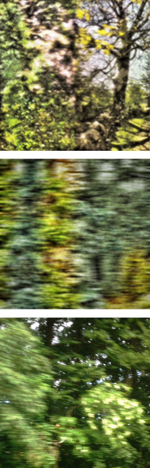 oder iPh4_DC_03469-70+3792+3518_v1.jpg